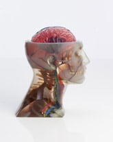 The Stratasys’ J750's unique ability to combine full color 3D printing with multiple materials is an industry breakthrough, eliminating complex, time-consuming processes to accelerate product ideation, design, validation, decisions and delivery